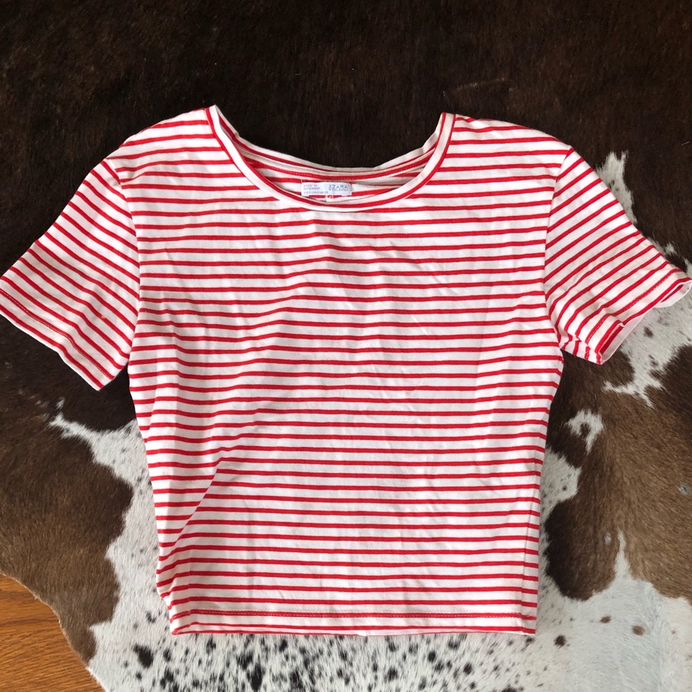 Zara Red and White Striped Crop Top